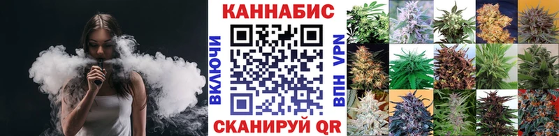 Бошки марихуана AK-47  Чегем 